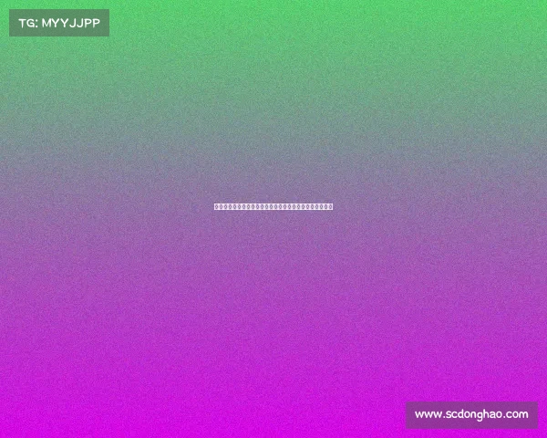 法尔克：金玟哉希望通过剩余季前赛评估自己能否获得重用