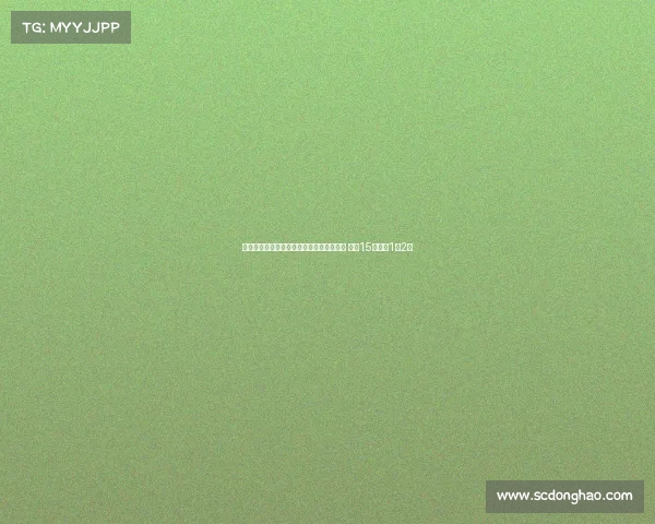 罗马官方宣布索尔巴肯转会加盟丹麦北西兰 出场15次贡献1球2助 罗马官方宣布索尔巴肯转会加盟丹麦北西兰 出场15次贡献1球2助