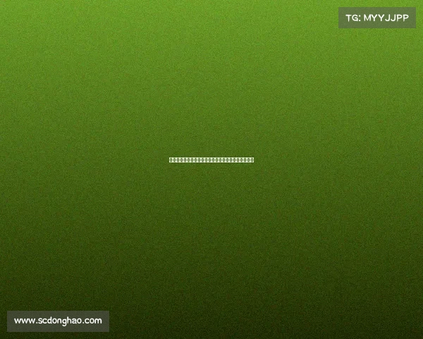 闪转腾挪迅疾如风精准无误一击定胜负的绝妙技艺解析