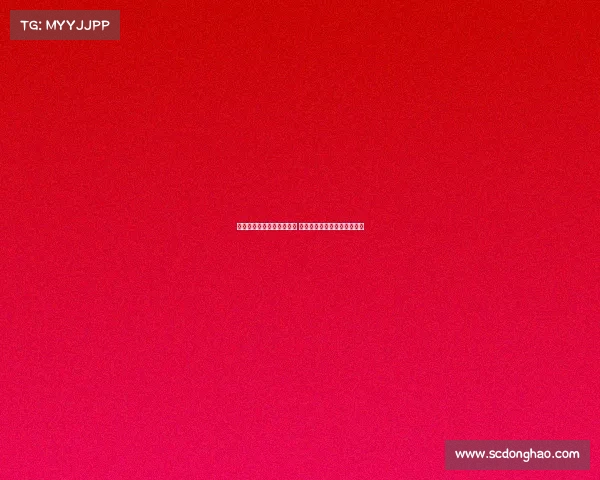 毛剑卿称赞于汉超表现出色 申花整体风格硬朗如男人足球 毛剑卿称赞于汉超表现出色 申花整体风格硬朗如男人足球