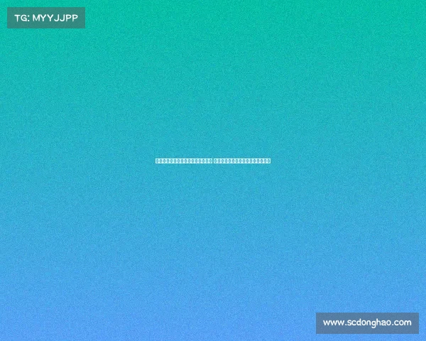 美因茨体育总监回应伯卡特转会传闻 强调协议尚未达成记者报道未必准确